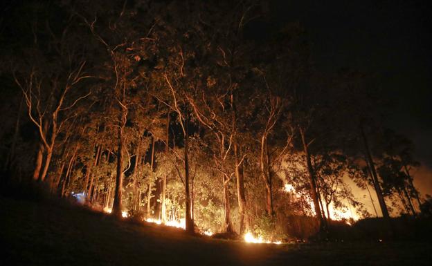 «El fuego llegó al campo de golf, pero no a las zonas de juego, abriremos con normalidad»