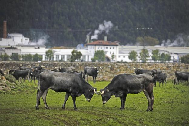 Cantabria crece a un ritmo anual del 1,9% desde 1975, el tercero más lento de España