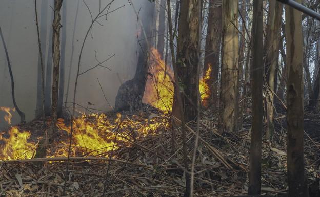 Cantabria tiene dos incendios activos y alerta 2 en siete comarcas forestales