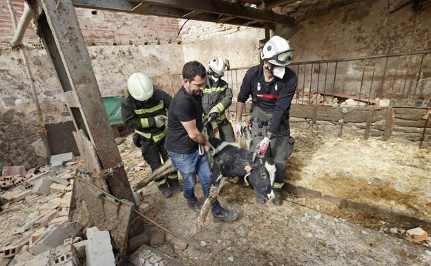 El fuerte viento derriba los tejados de las piscinas de Reinosa y de una cuadra llena de vacas en Cabezón, matando a dos