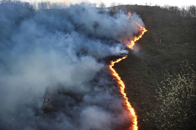 La lluvia calma los montes abrasados por los cien incendios provocados este fin de semana