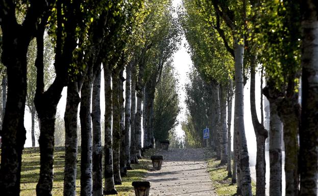 Torrelavega incrementará las zonas verdes y el arbolado