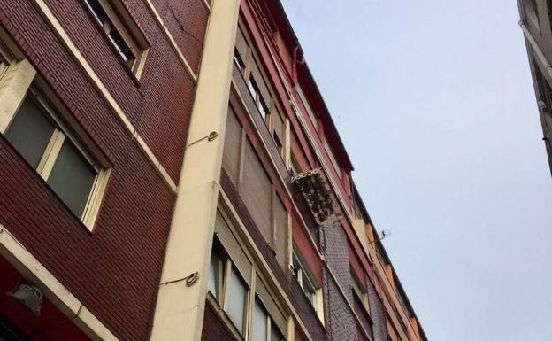 Plantas aromáticas a secar en el tendal de los animales muertos de hace un mes