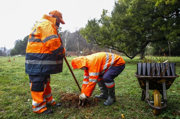 Los vecinos tachan de «despropósito» la plantación de 1.000 árboles en La Viesca