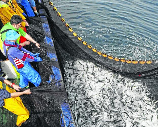 Cantabria ofrece seguridad jurídica al sector pesquero con la nueva ley