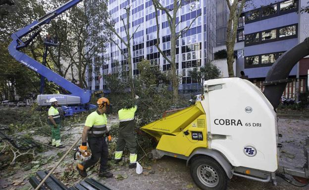 Santander inicia la reclamación de 340.000 euros a la anterior concesionaria de Parques y Jardines