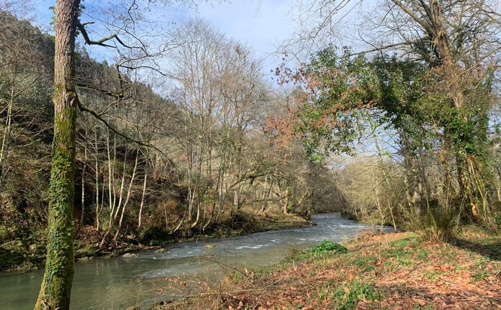 Puesta a punto del río Agüera