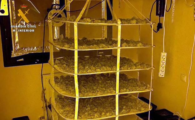 Detenido un vizcaíno con un piso alquilado en Castro Urdiales para plantar marihuana dentro