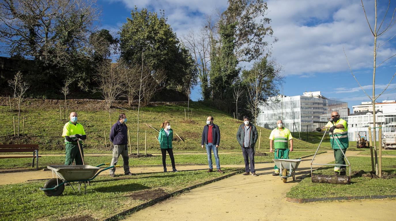 Torrelavega tiene completada al 80% la plantación de arbolado y vegetación en el parque Miravalles