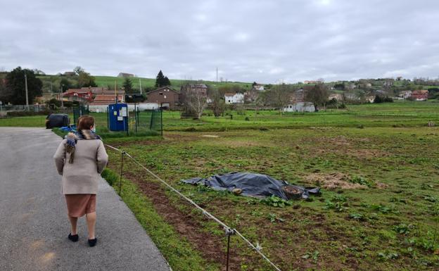 El Seprona investiga el abandono de un caballo muerto en una finca de Revilla de Camargo