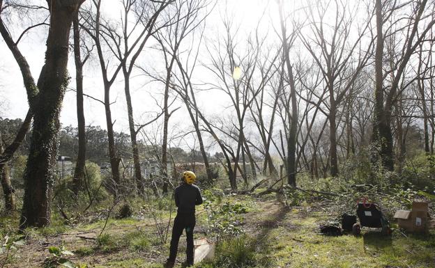 Un Plan Director integrará los usos y actuaciones en el parque del Patatal