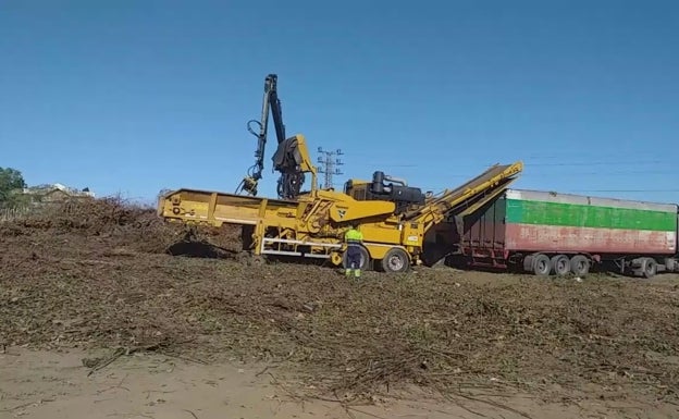 Archivada la denuncia al Ayuntamiento de Castro por el depósito de podas en una parcela de Sámano