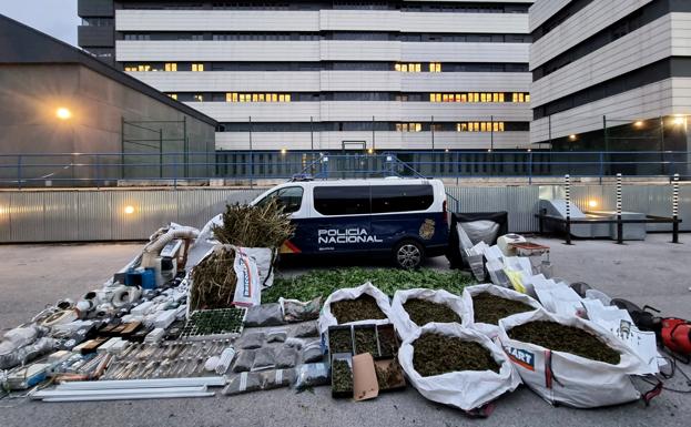 Desmantelada una sofisticada plantación de marihuana en Camargo