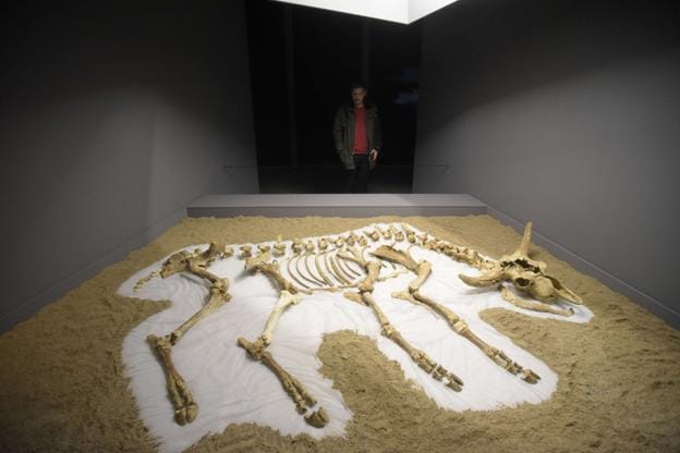 La exposición 'Kiputz. Un abismo en la Prehistoria' recala en el Museo de Altamira