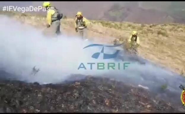 Nueve incendios forestales siguen activos, de los 36 provocados en un solo día