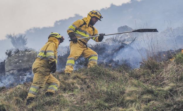 «Los incendiarios actúan como profesionales y nos perjudican a todos»