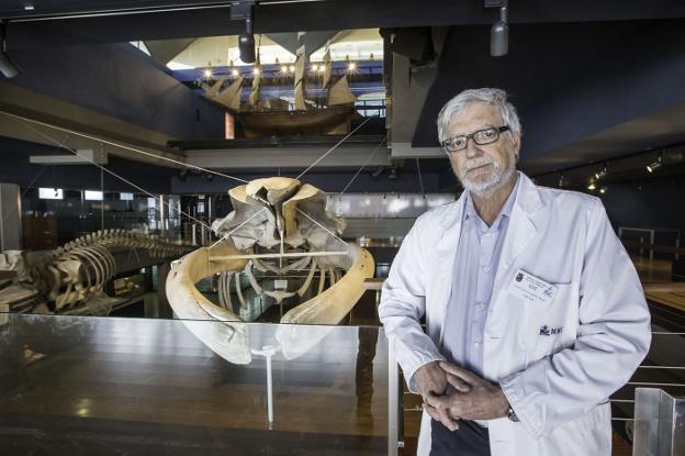 «Los museos tenemos que llegar al público y no esperar a que nos visite»