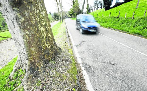 Las raíces de los plátanos levantan grietas en el paseo de la Rabia