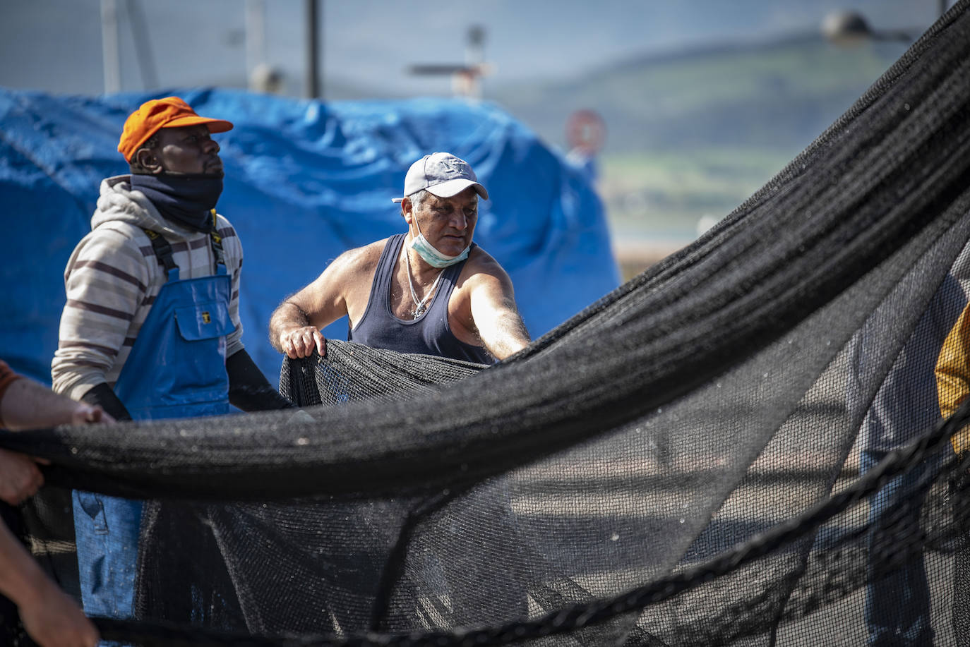 La vida en el puerto