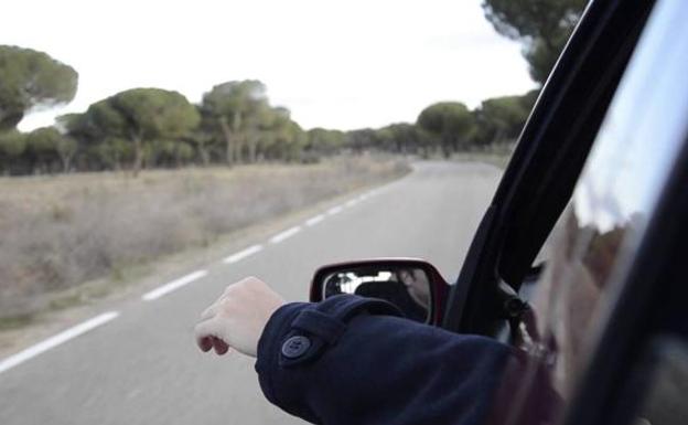 Qué hacer, y qué no, si se cuela una avispa o abeja en el coche