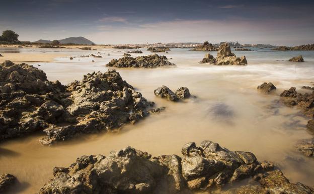 Las dunas de Trengandín protagonizan una nueva ruta para conocer la singularidad ecológica de Noja