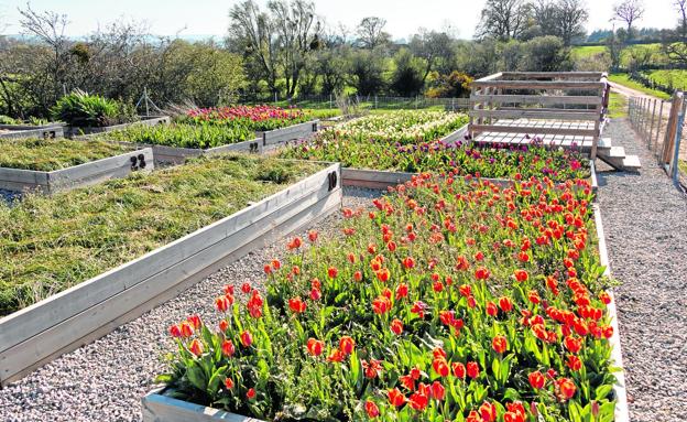 Quintanamanil, un reservorio para los cultivos autóctonos del sur de Cantabria