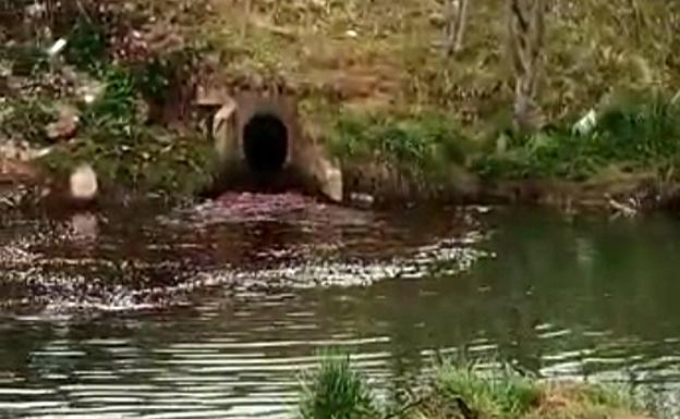 Vertido «accidental» al Ebro de sangre animal procedente del matadero de Reinosa