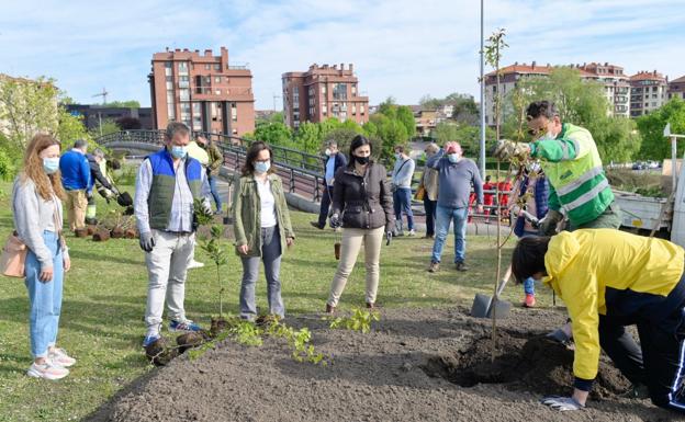 72 nuevas plantas para Monte