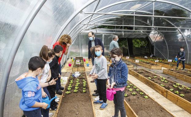 El colegio de Tanos pone en marcha un huerto en un invernadero