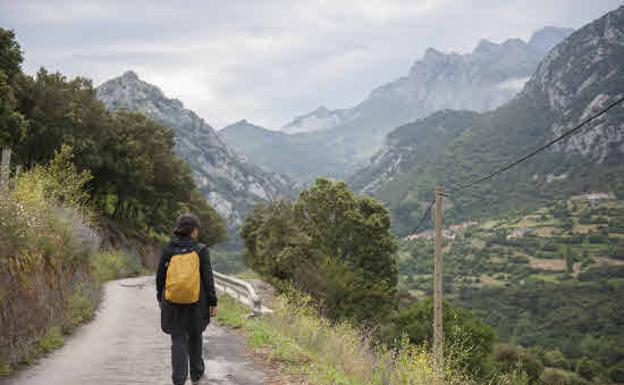 Cantabria creará una red de 'cuidadores' de sus caminos de peregrinación para 2023