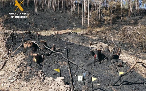 Dos hombres de 50 y 65 años se suman a la lista de investigados por incendios forestales, esta vez en Sámano e Isla