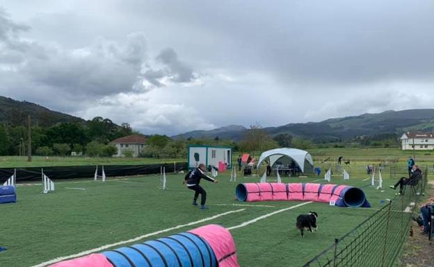 Las pruebas puntuables para el Concurso Nacional de Agility se instalan en Guriezo