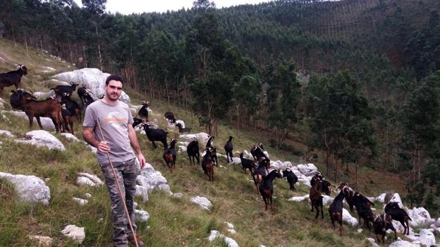 Ganaderos del Miera y el Asón, «asediados» por la cercanía y los frecuentes ataques de los lobos