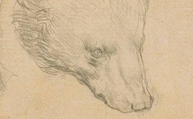 A subasta 'Cabeza de oso', uno de los dibujos de Leonardo da Vinci