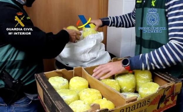 Desarticulado un grupo criminal que introducía en España cocaína en piñas 'preñadas' que operaba desde Cantabria