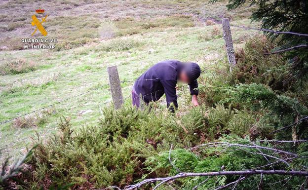 Detenido un vecino de Valdeolea por colocar cepos y lazos para cazar