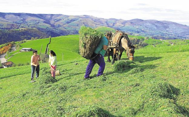 Se buscan habitantes para 39 municipios despoblados de Cantabria