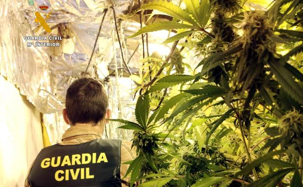 Desmantelada una 'fábrica' de marihuana en una casa de Potes