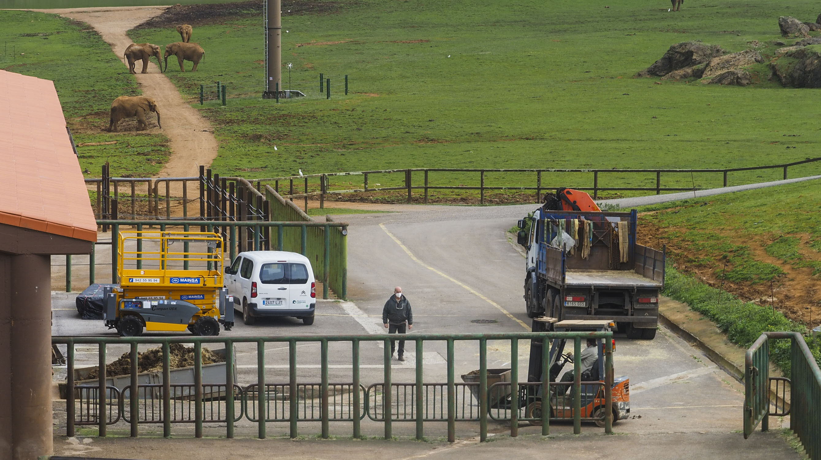 Sanción a Cabárceno por la muerte del trabajador golpeado por una elefanta