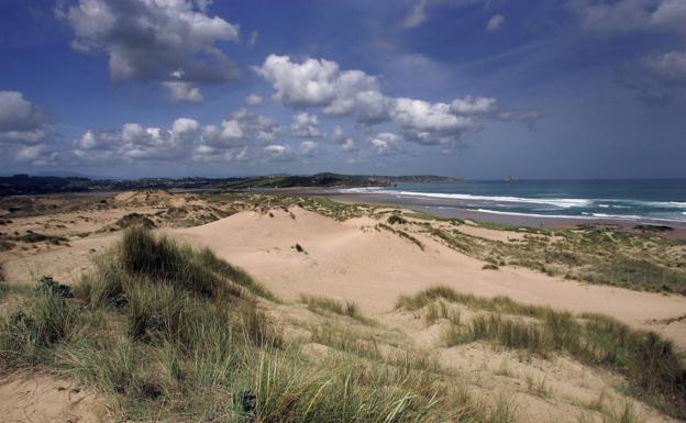 El parque natural de las Dunas de Lincres, candidato a la nueva edición de '#MiPlayaSinPlásticos'