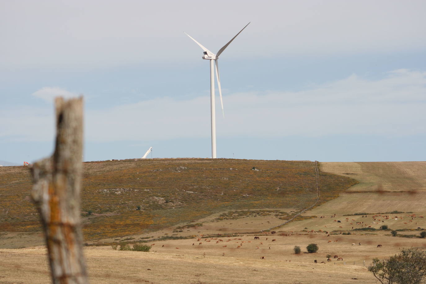 Cancelada la reunión de Iberdrola con representantes de Campoo de Yuso para abordar los eólicos