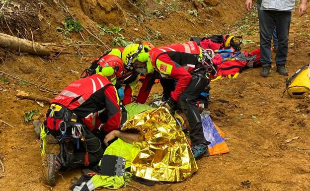 Herido un hombre al que le cayó encima un árbol cuando trabajaba en La Penilla