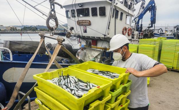 «La costera del bocarte ha sido positiva al agotarse la cuota y volver a precios de antes del covid»