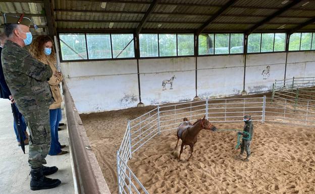Quiñones espera que el Centro Militar de Cría Caballar de Ibio recupere progresivamente su actividad abierta al público