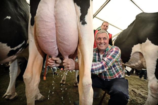 La Feria de la Leche arranca este sábado en Renedo con una promoción de pinchos en 13 establecimientos