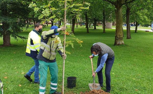 Astillero colabora con el programa 'Un árbol por Europa'