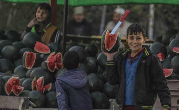 Aumenta a 160 millones los niños atrapados en el trabajo infantil