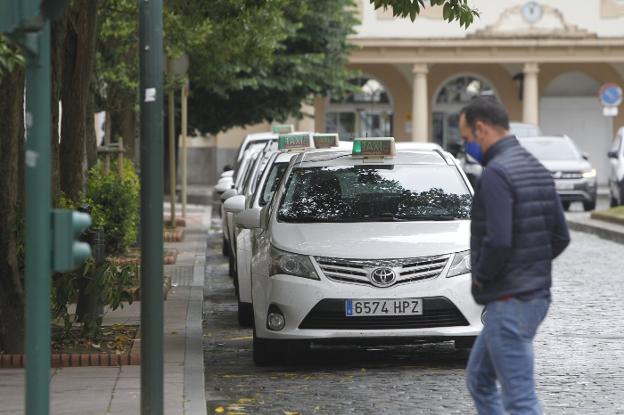 El Pleno pide al Gobierno que comarcalice el sector del taxi para mejorar el servicio