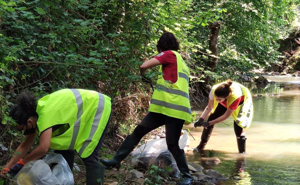 Castro se libra de 10 toneladas y media de basura gracias a Mi Pueblo Limpio