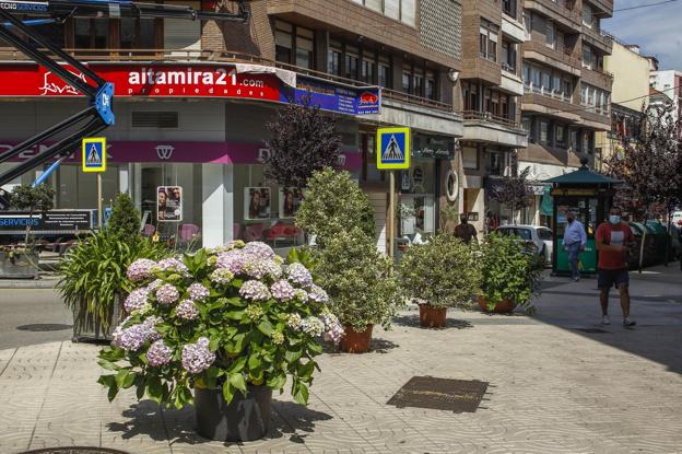 Torrelavega reparte desde hoy 5.000 plantas para el concurso de jardines